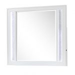 MAX: PG10 Mirror